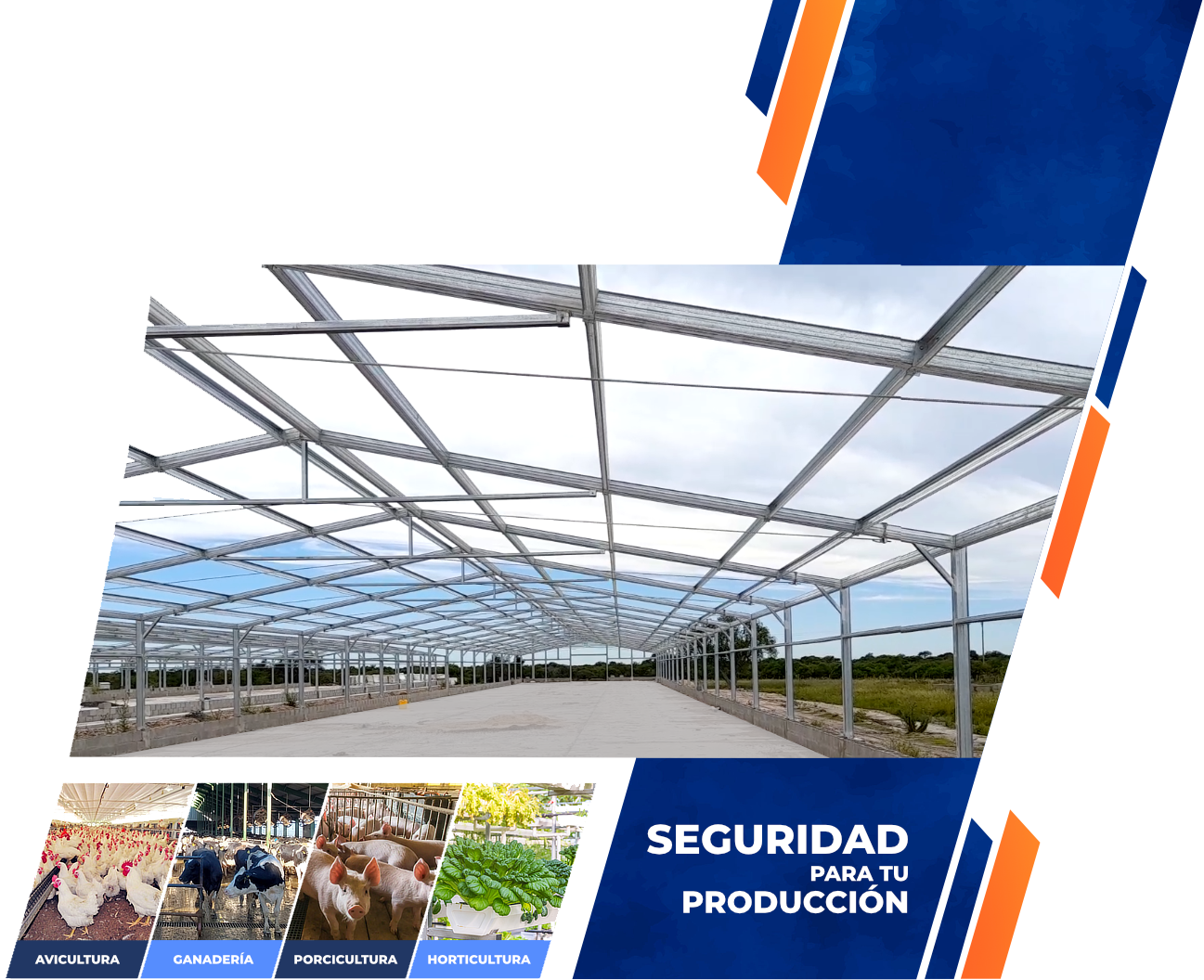 GALPONES AVICOLAS DIMARBO HOME 4