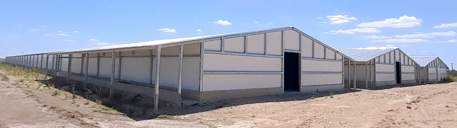 naves avicolas portada